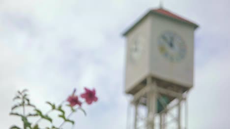 Bottom-up-shot-of-clock-tower-of-Monte-Cristi-and-blooming-flowers,-focus-change