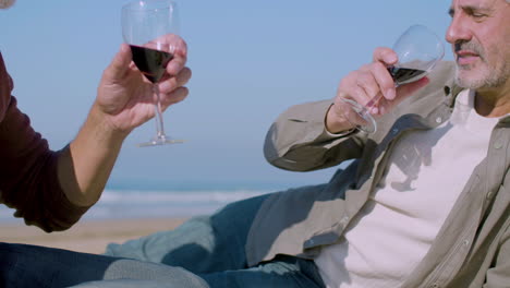 senior men sitting on beach and drinking wine