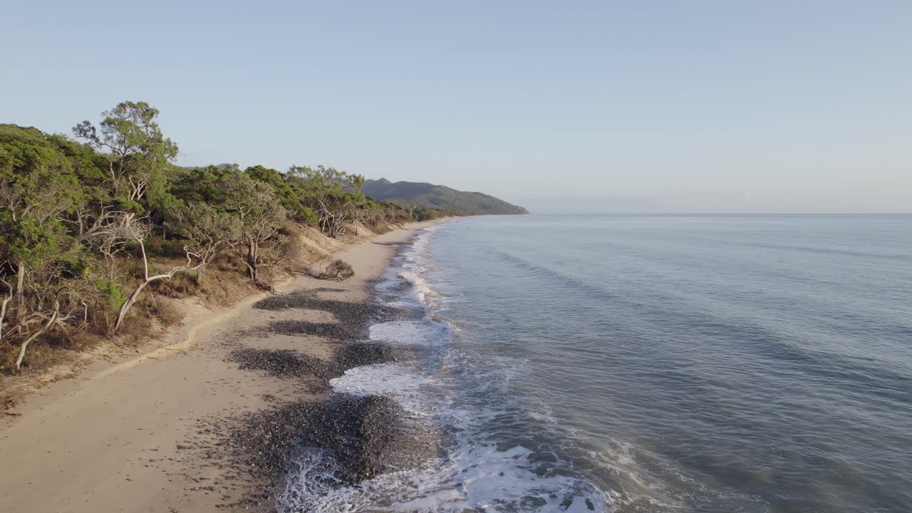 Waves Rolling At The Beach Along The Trees In Macalister Range National Park - Wangetti, QLD, Australia