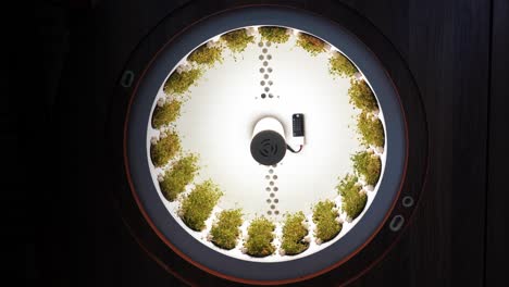 circular indoor garden with led grow lights