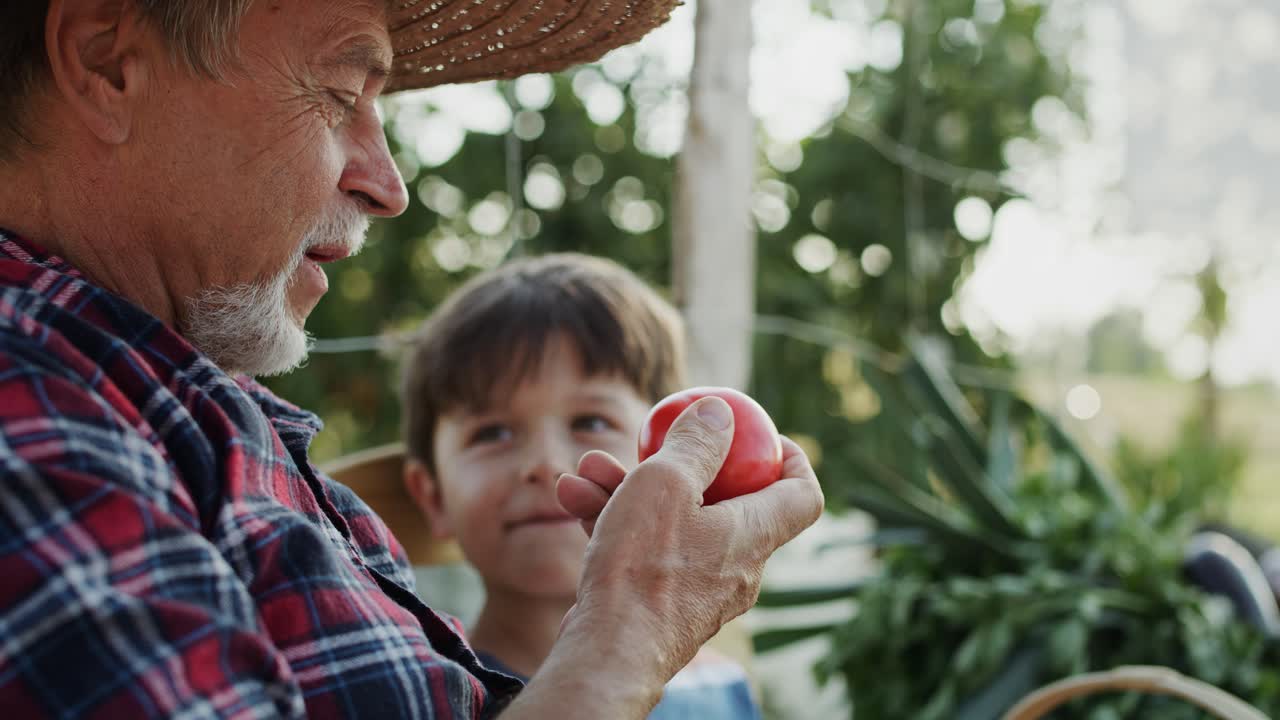 Video del nonno che mangia pomodori raccolti dal suo orto