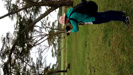 vertical video of safari wildlife