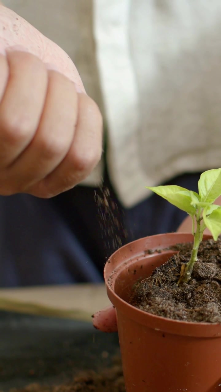 Video verticale: Appare una seconda mano, mani che aggiungono terriccio e sistemano una piantina in un vaso su una panca.