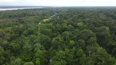 aerial view moving shot, scenic view of a log cabin on the shore of the amazon river in colombia, the sunlight reflecting on the water