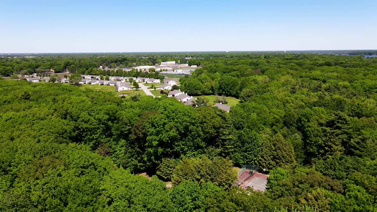 Summer trees in the Norton Shores area of Muskegon, MI