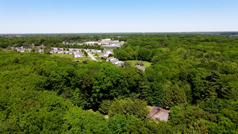 Summer-trees-in-the-Norton-Shores-area-of-Muskegon,-MI