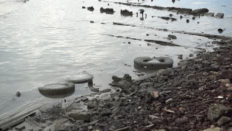 old tire at the sea