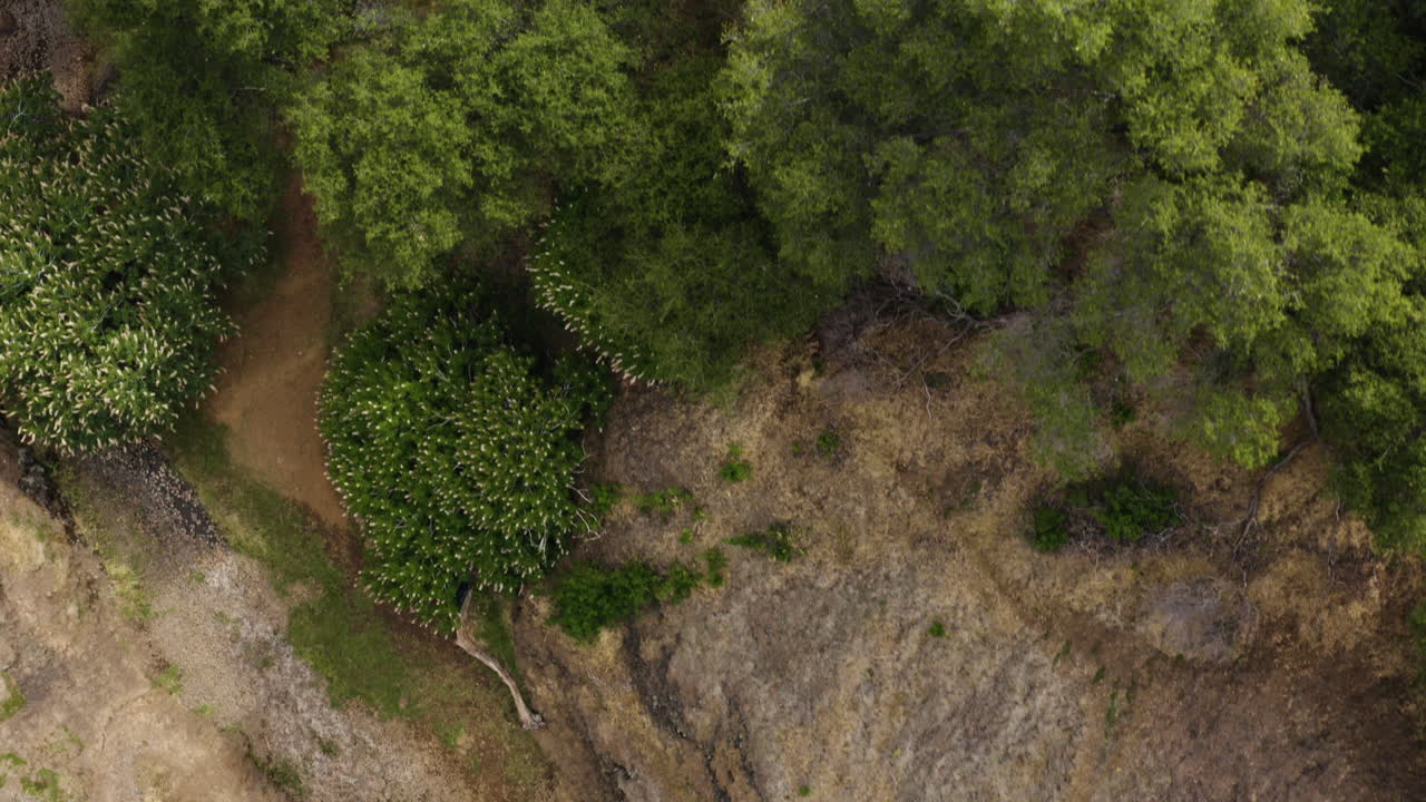 Waterfall is almost dried up, only small stream of water falls of rocky mountain into water pool, aerial top down, forward flying, Tabletop Mountain, Oroville, USA