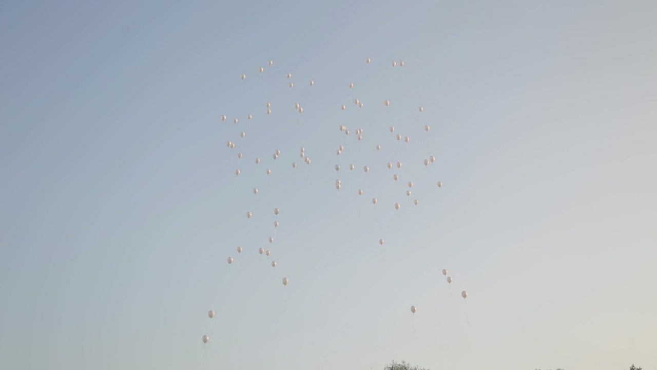 White balloons hovering over the summer forest