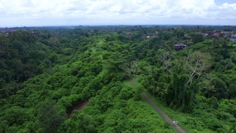 a tranquil and attractive view of campuhan ridge walk, bali, indonesia - drone flying forward