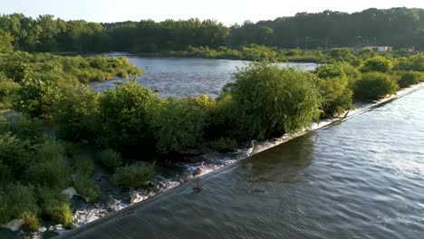 Blue-Heron-and-Egret-along-wetland-spillway,-Hoover-Reservoir,-Ohio