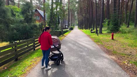 woman with a baby in a stroller in an area with wooden houses and a forest