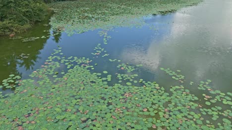 Gliding-over-a-calm-and-serene-Mahucdam-Lake-in-Surigao-Del-Norte,-Philippines