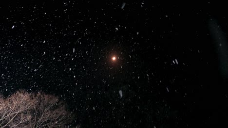 Mirando-Hacia-El-Cielo-Negro-Nocturno-Con-Luna-Durante-Las-Nevadas