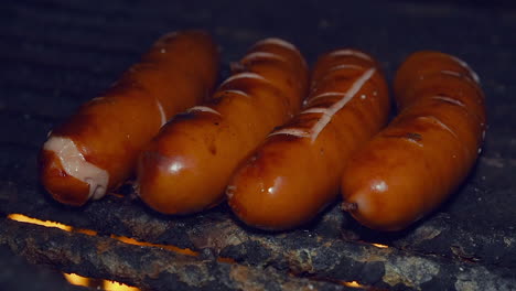 close up: sausages split as they cook on open campfire grill at night