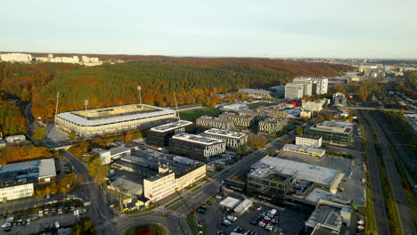 lush vegetation of witomin’s forest and the city landscape of gdynia at dawn in poland