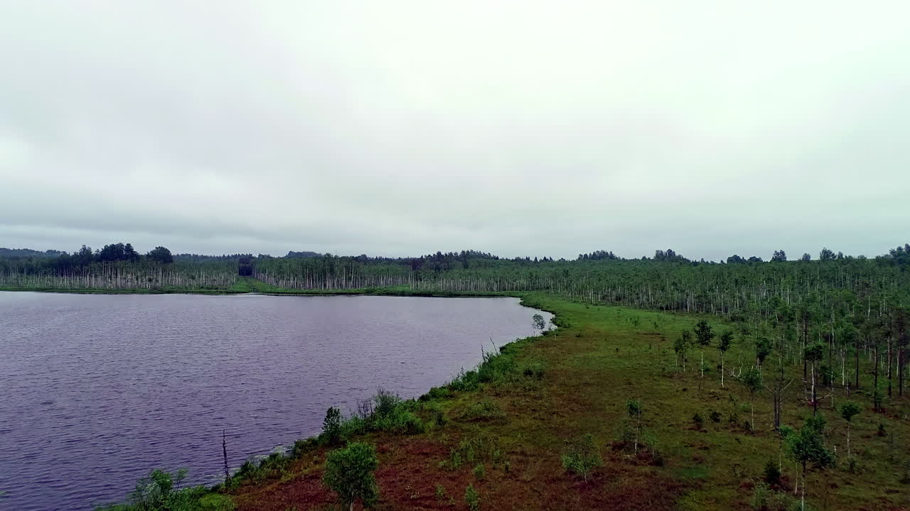 lago tranquilo con árboles verdes y densos contra el cielo sombrío.