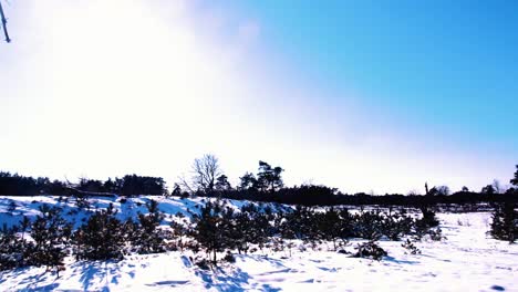 Establecimiento-De-Una-Toma-Del-Paisaje-De-Campo-Nevado-De-Invierno,-Pan-A-La-Izquierda,-Día