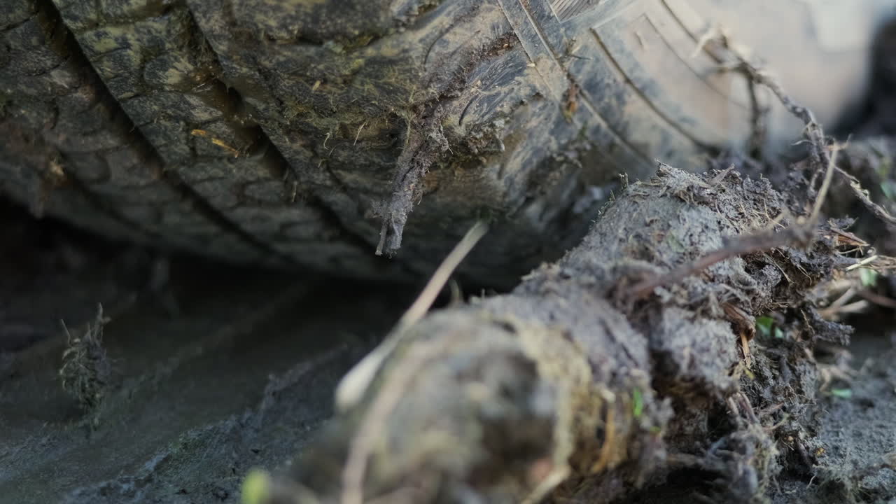 neumáticos de camión atascados en un campo fangoso durante un viaje fuera de la carretera