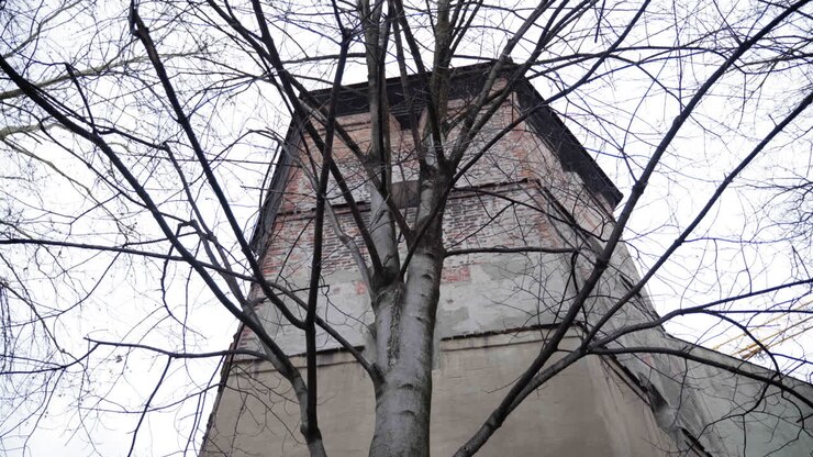 Una storica torre di guardia medievale a Monaco, Germania, parzialmente oscurata da alberi spogli. Il cielo coperto e la struttura in mattoni invecchiati creano un'atmosfera cupa e invernale.