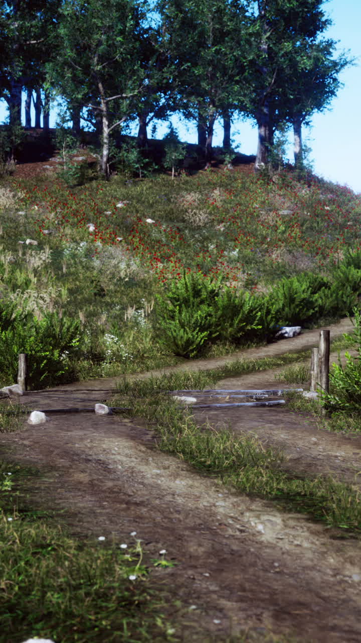 camino de tierra a través de un bosque