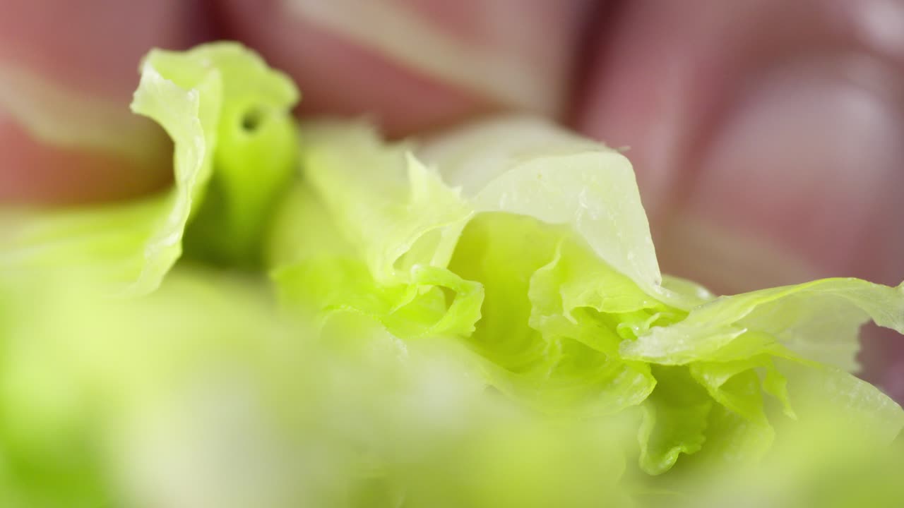 Close-up of fresh salad being cut for a meal preparation concept