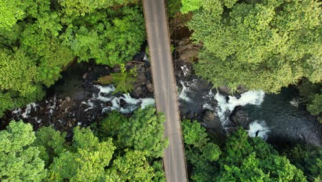 vertical perspective of car crossing bridge in tropical green nature