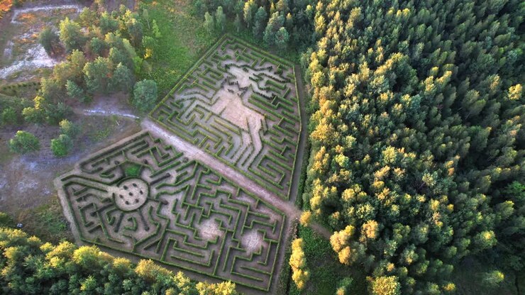 Deer-shaped maze green garden, Aerial View