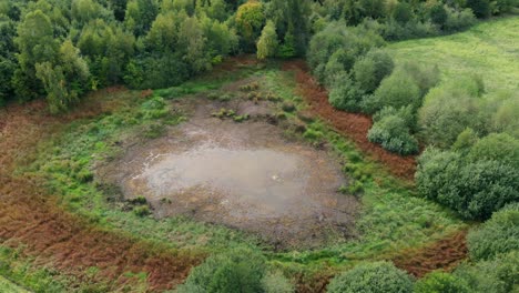 view of a swamp in kolbudy, kaszubia, pomorskie, poland