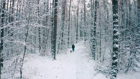 Ein-Mann-Geht-An-Einem-Schneiten-Tag-Auf-Einem-Pfad-Und-Ein-Hund-Folgt-Ihm