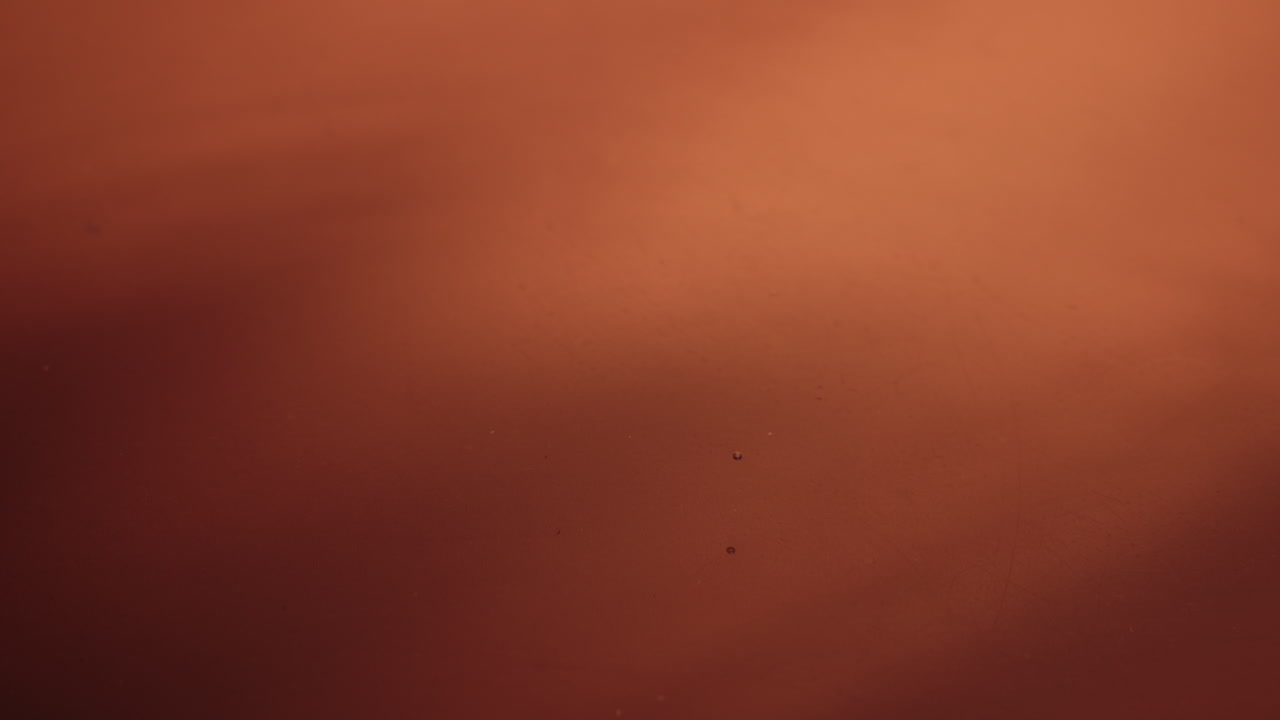 물 표면에 물방울이 떨어지면서 파동이 발생합니다.