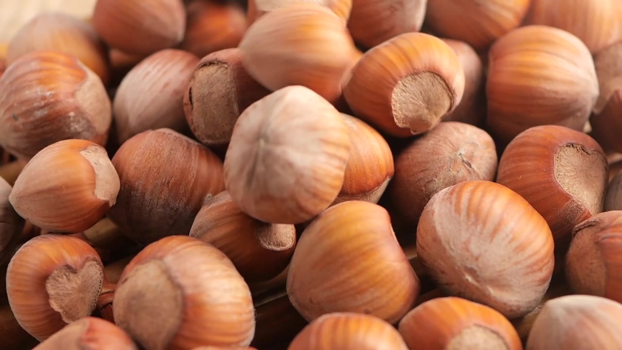 Fresh Hazelnuts Falling into a Woven Basket