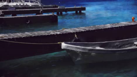 barco delfín 03