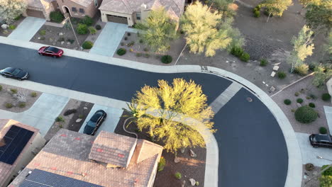 Overhead-aerial-view-of-an-elderly-person-walking-their-dog-by-using-an-electric-scooter