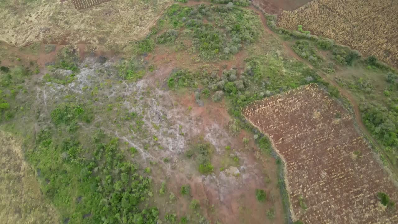 clip cinematográfico aéreo: drone volando sobre un campo de parque natural durante la puesta de sol