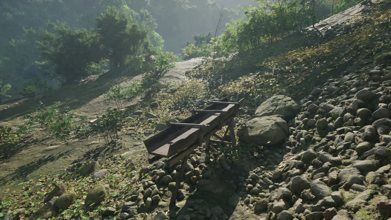 나무 구조물 이 안개 숲 의 길 에 서 있다