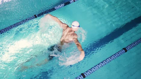 swimmer training in a swimming pool