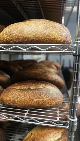 freshly baked bread on metal shelves