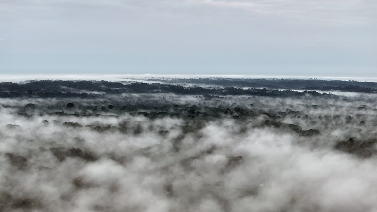 Left pan cloudy landscape of canopy rainforest Amazonia Ecuador