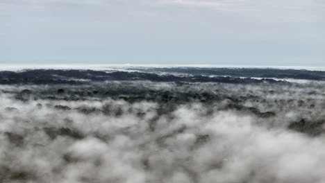left pan cloudy landscape of canopy rainforest amazonia ecuador
