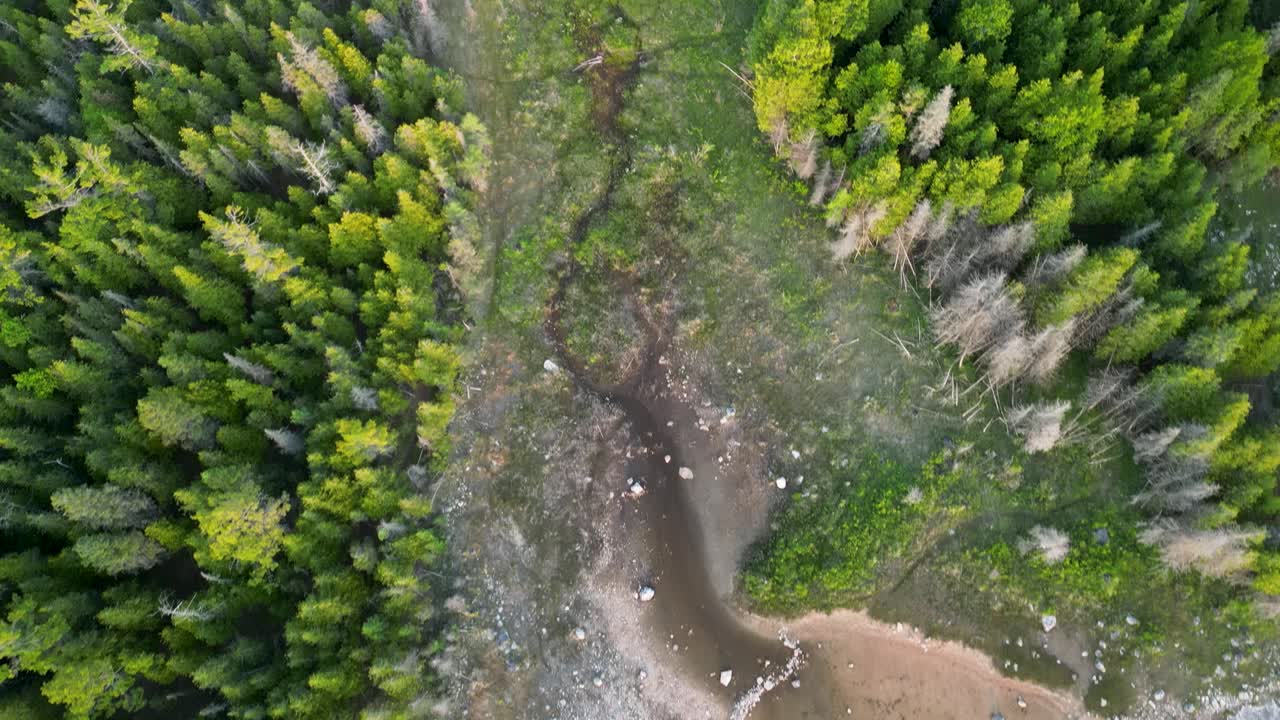 aérea de arriba hacia abajo del lecho del río y el área boscosa, lago huron, michigan