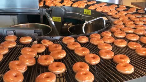 donas recién horneadas con un glaseado de azúcar tibio dando vueltas en una cinta transportadora esperando a ser encajonadas por el panadero