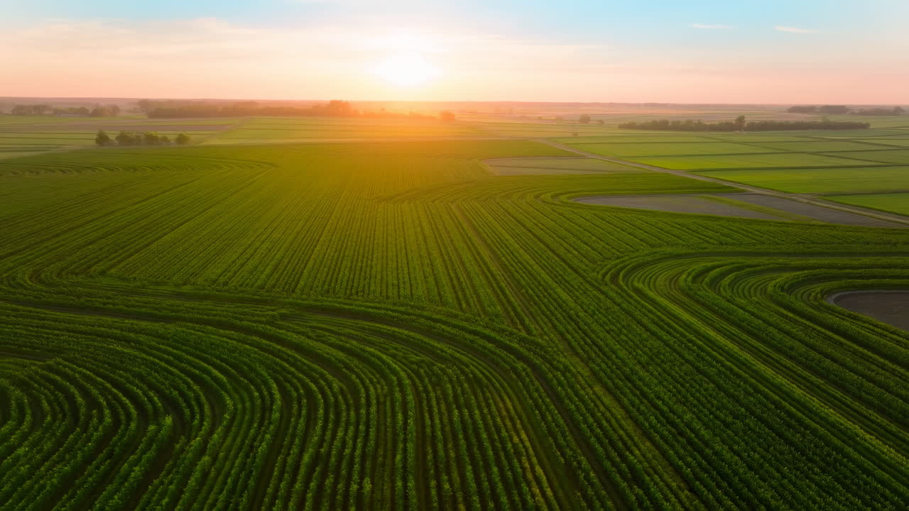 Sunrise Over Vast Green Farmland, Aerial View Revealing Sweeping Crop ...