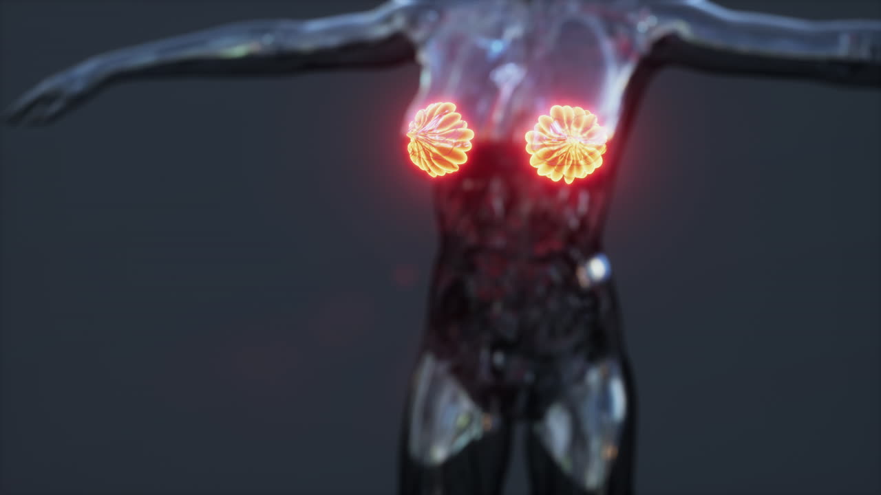 ciencia anatomía del cuerpo humano con brillo glándula mamaria