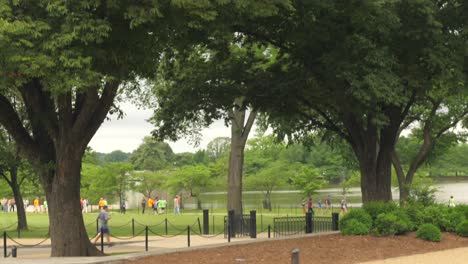 view of green trees pan down to touristy park and lake, washington, d.c., focus to defocus