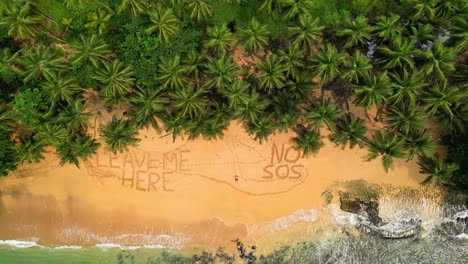 seen from above and descending on a man lying on a deserted beach with inscriptions in the sand say leave me here and no sos. africa