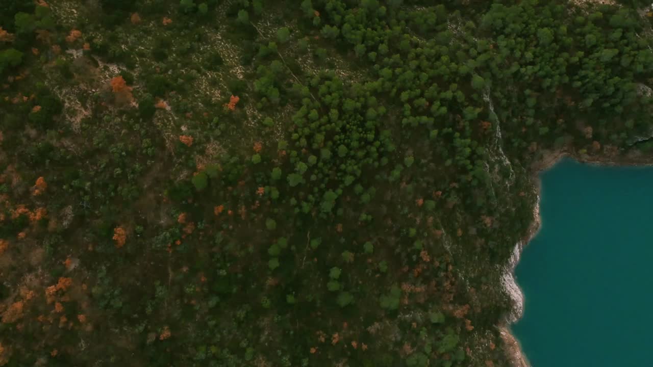 árboles pequeños capturados por drones moviéndose sobre el bosque, río de agua junto al árbol, luz del sol nocturna sobre la cubierta de árboles