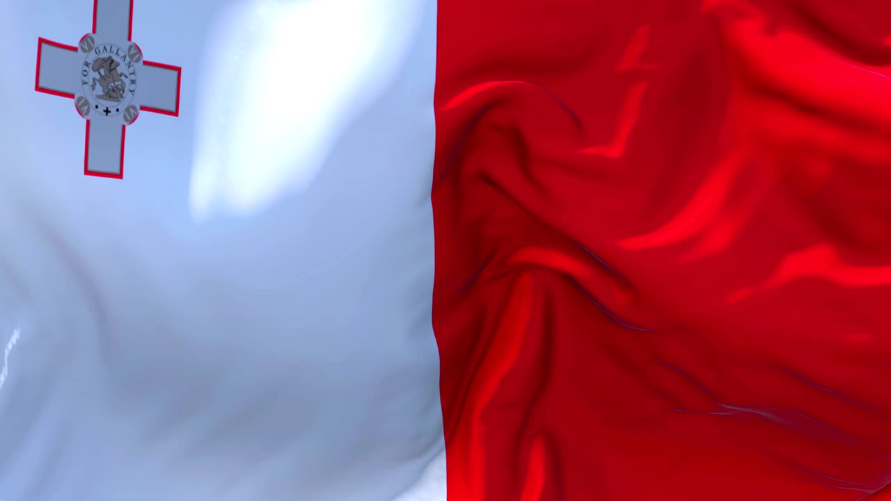 바람 속 느린 동작 애니메이션에서 말타 발을 흔들고, 4k 현실적인 직물 질감 발은 바람이 불어오는 날에 부드럽게 부는 연속적인 원활한 루프 배경입니다.