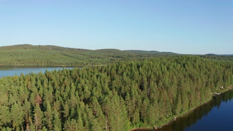 Drone-shot-of-crystal-clear-lake-in-Sweden-inland-surrounded-by-deep-forest-landscape