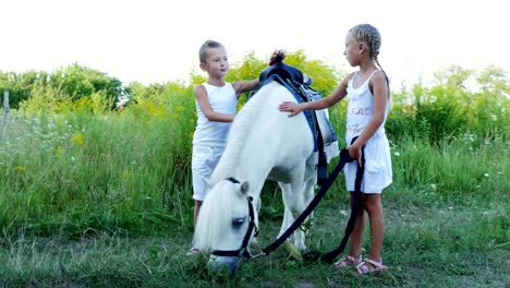 children, a boy and a girl of seven years, stroking a white pony. cheerful, happy family vacation. outdoors, in the summer, near the forest